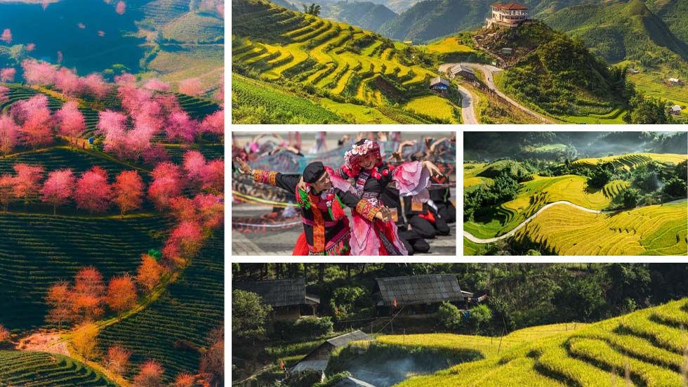 Sapa