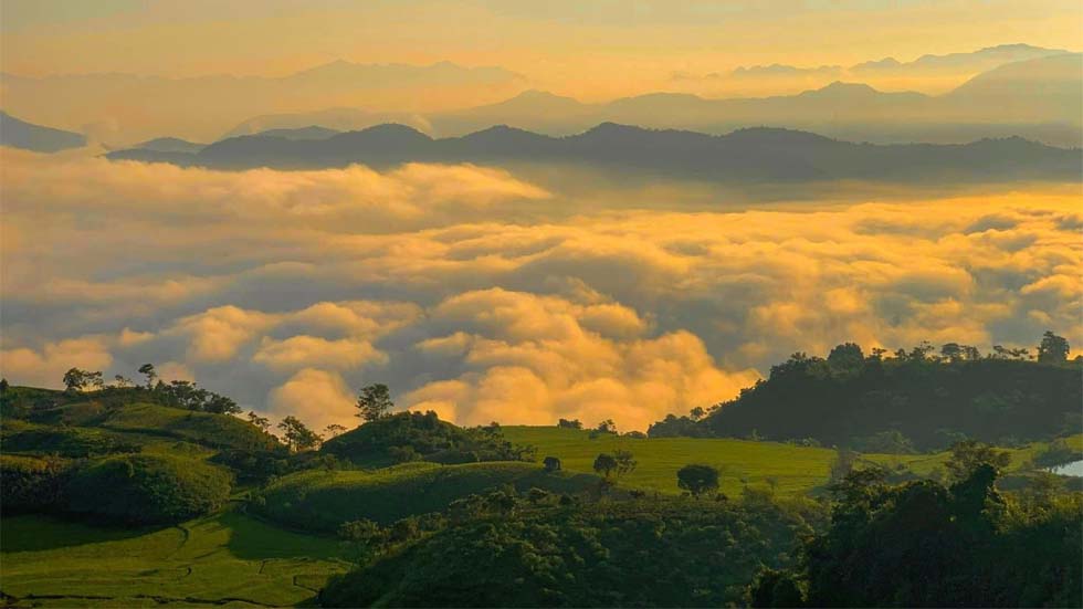 Moc Chau