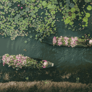 Viagem Fotografica ao Vietnã 17 dias