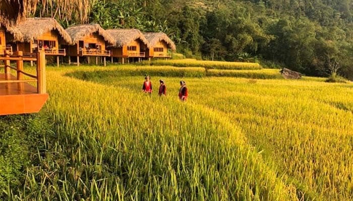 Hoang Su Phi Lodge