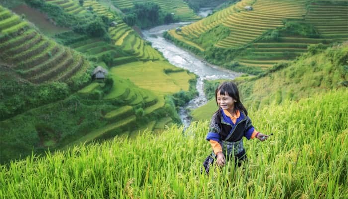 Sapa