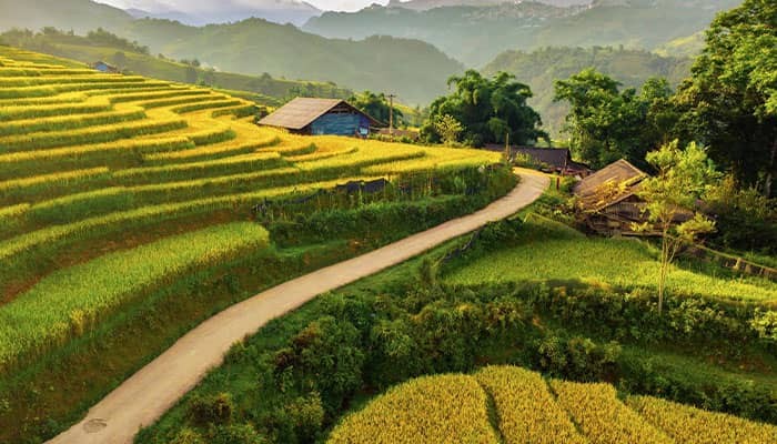 Sapa