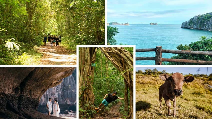 Parque Nacional Cat Ba