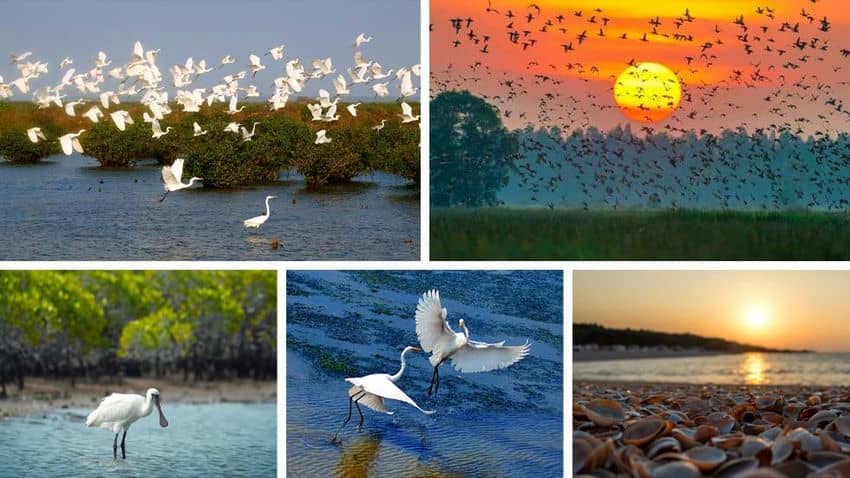 Parque Nacional Xuan Thuy