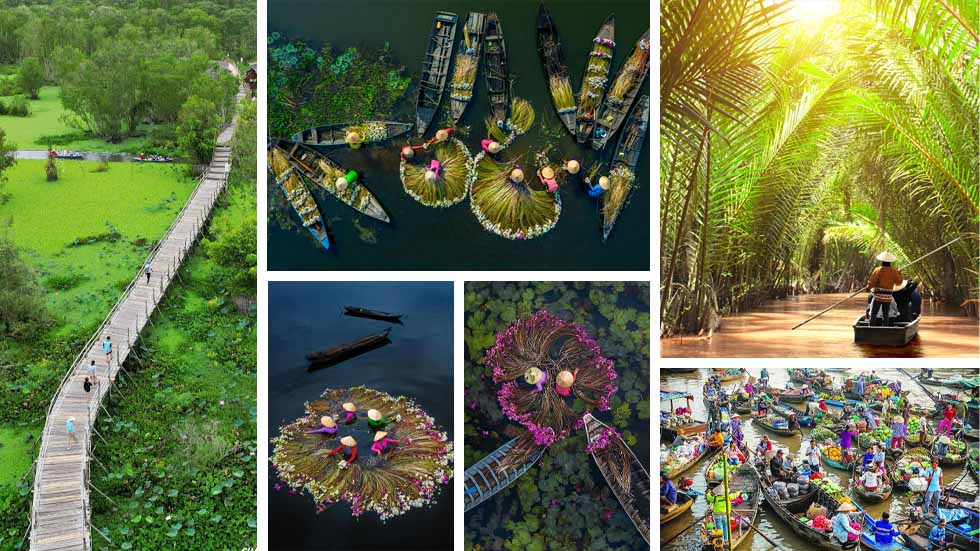 Os 10 cruzeiros no Delta do Mekong