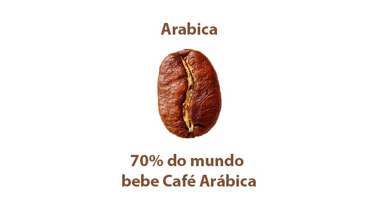 Café Arábica