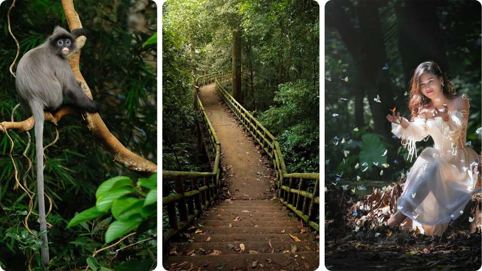 Parque Nacional de Cuc Phuong