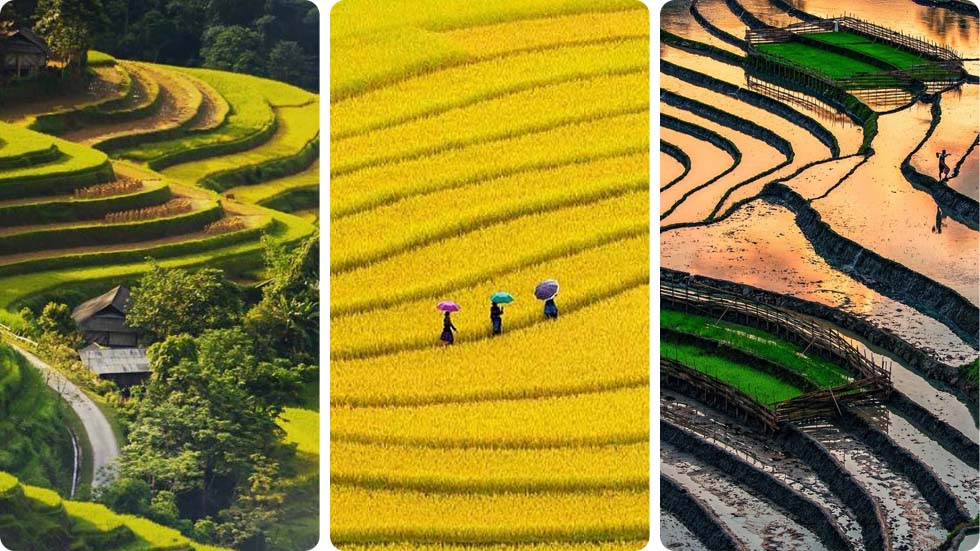 Melhor época para visitar Hoang Su Phi