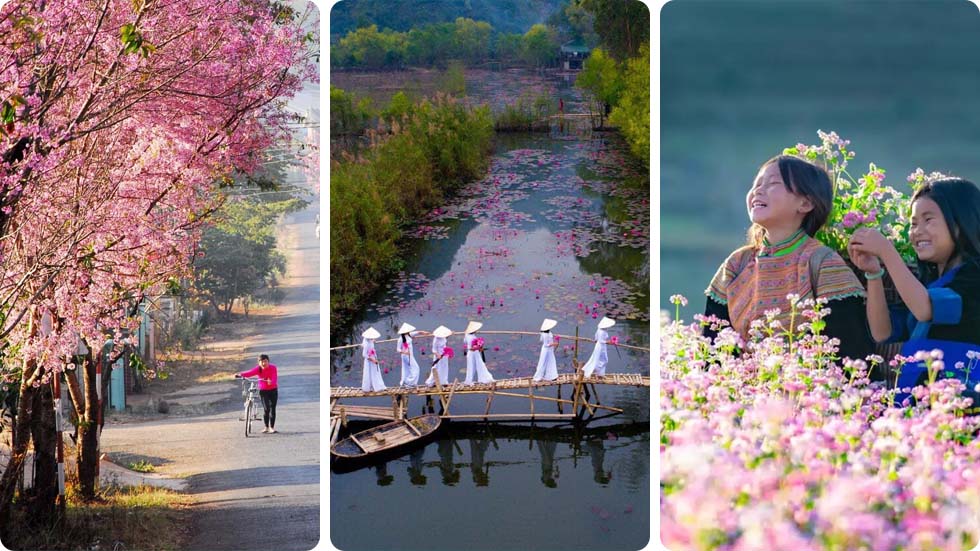 Primavera no Vietnã