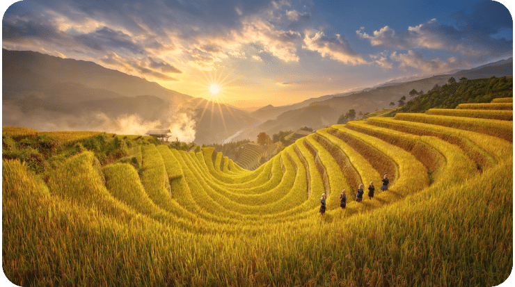 Mu Cang Chai