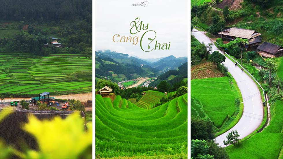 Mu Cang Chai