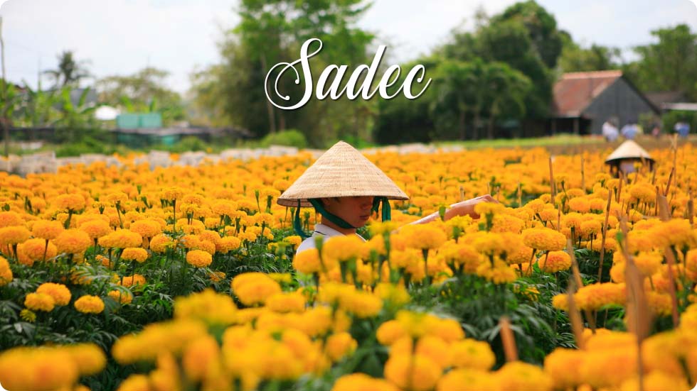Sadec