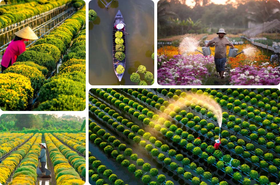 Aldeia de flores Sadec