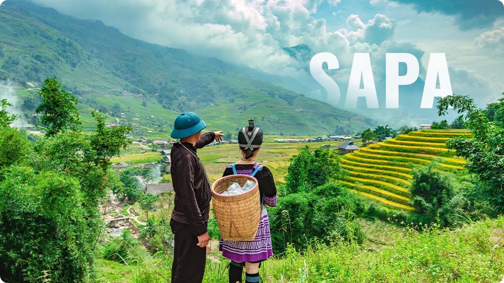 Sapa
