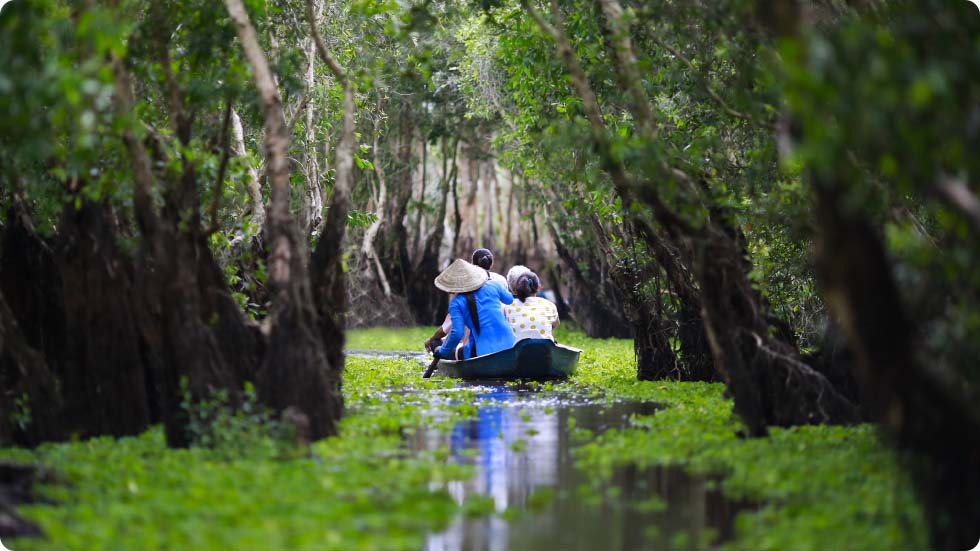Floresta de Cajuput Tra Su
