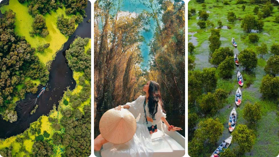 Floresta de Cajuput Tra Su