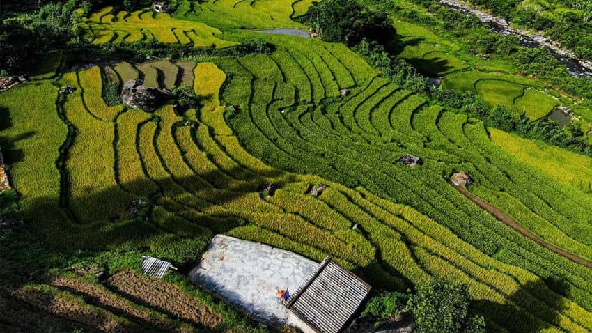 Binh Lieu rice terrace