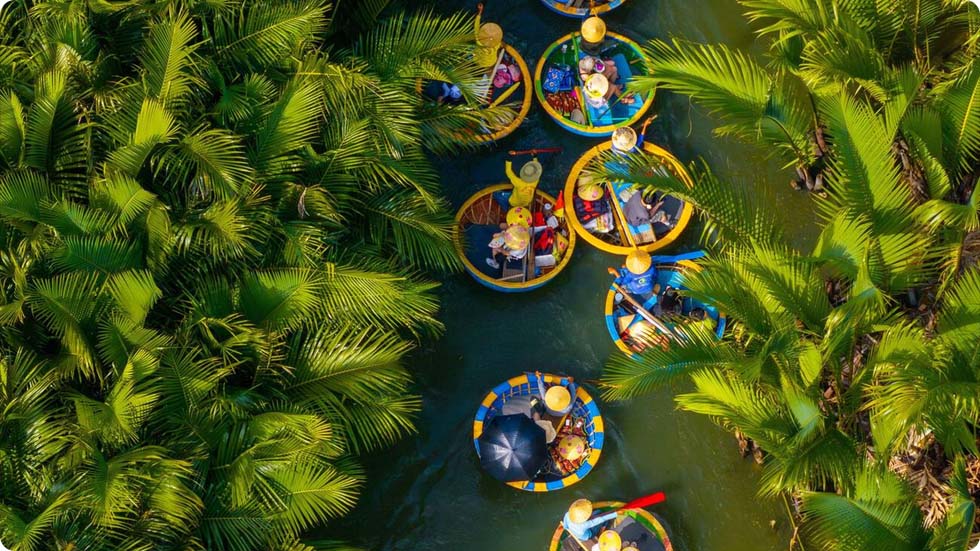 Floresta de coqueiros