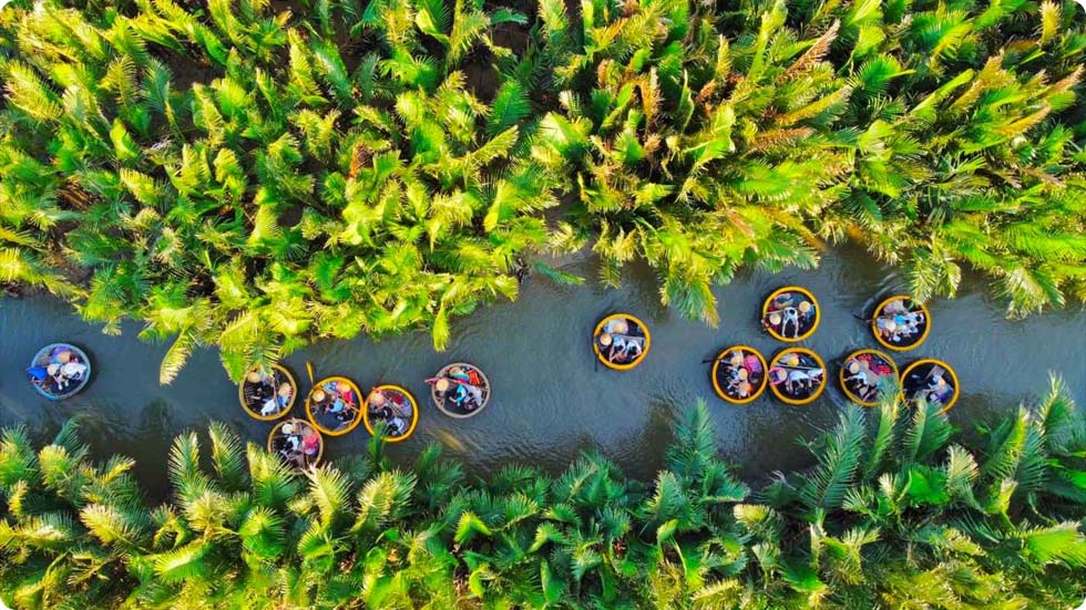 floresta de coqueiros Bay Mau