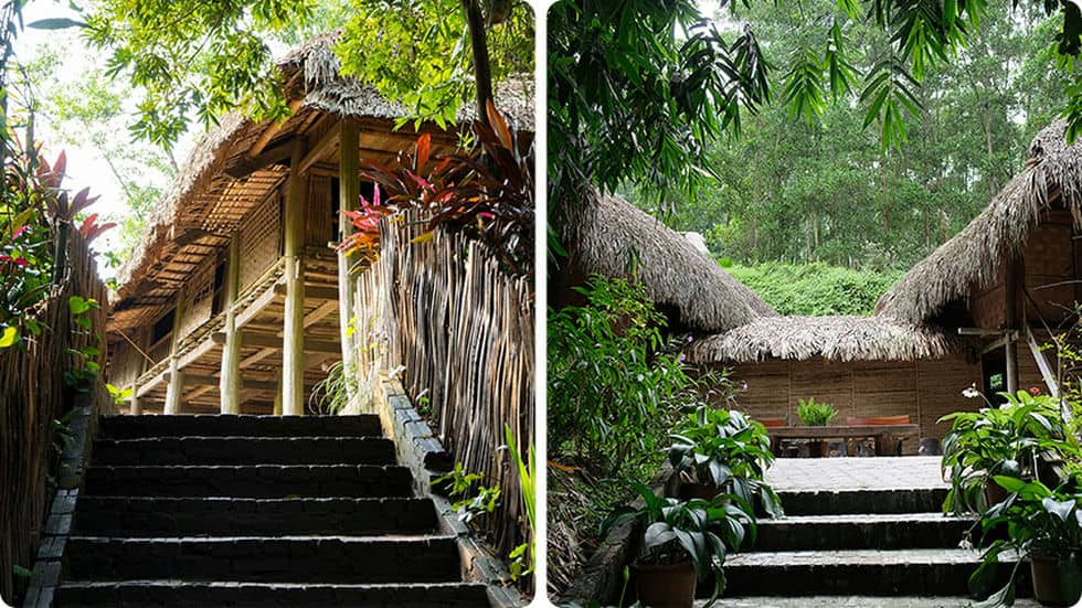 Oásis verde imaculado